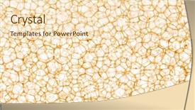  Presentation with cell - PPT layouts consisting of cell background background and a lemonade colored foreground