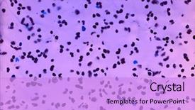 Presentation with bacteria - Cool new presentation theme with cell biology - abstract macro image of particles backdrop and a lilac colored foreground