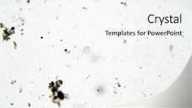  Presentation with algae - PPT theme having cell biology - algae and microscopic animals background and a white colored foreground