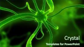  Presentation with cell biology - Cool new presentation theme with cell biology - axon backdrop and a forest green colored foreground
