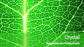  Presentation with green leaf - Audience pleasing slides consisting of cell biology - green leaf macro may be backdrop and a shamrock green colored foreground