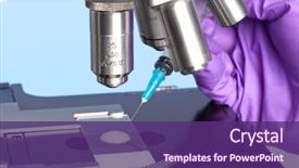  Presentation with sperm - Presentation theme having cell biology - photo of a sperm sample background and a violet colored foreground