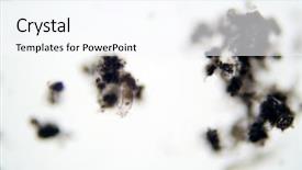  Presentation with pond - Slide set with cell biology - rotifer is a microscopic animal background and a cool aqua colored foreground