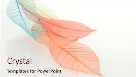  Presentation with skeleton - Theme enhanced with cell biology - skeleton leaves background background and a lemonade colored foreground