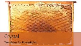  Presentation with honeycomb - Audience pleasing slide deck consisting of cell biology - yellow beautiful honeycomb frame backdrop and a gold colored foreground