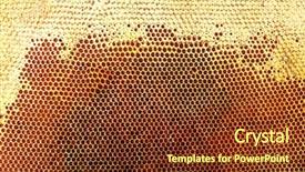  Presentation with honeycomb - PPT layouts consisting of cell biology - yellow beautiful honeycomb with honey background and a tawny brown colored foreground