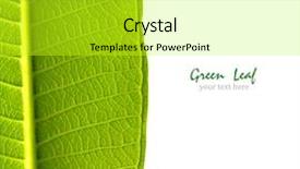  Presentation with green watercolor paper texture - Presentation theme featuring cell biology plant - green leaf texture background and a yellow colored foreground