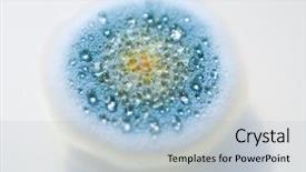  Presentation with bacterium - Presentation theme consisting of cell culture - close up photo of bacterium background and a light blue colored foreground