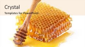  Presentation with spoon - Beautiful PPT theme featuring cell culture - honeycombs with spoon backdrop and a yellow colored foreground