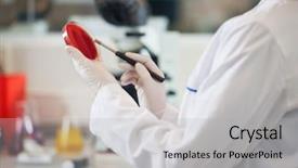  Presentation with cell culture - Presentation with cell culture - midsection of female scientist examining background and a light gray colored foreground