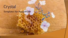  Presentation with honey - Beautiful presentation design featuring cell structure - honey dripping honey comb backdrop and a coral colored foreground