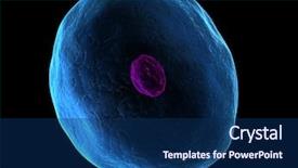  Presentation with cell - Slide set with cell background and a navy blue colored foreground