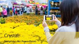  Presentation with flower woman - PPT theme having cellphone on lunar new year background and a gold colored foreground