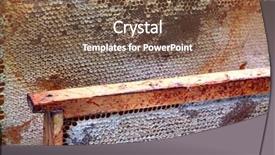  Presentation with honeycomb - PPT layouts having bees inside beehive - honeycomb background and a tawny brown colored foreground