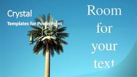  Presentation with phone tower - Colorful PPT theme enhanced with eggplant in spicy sauce salad with shrimp minced pork backdrop and a soft green colored foreground