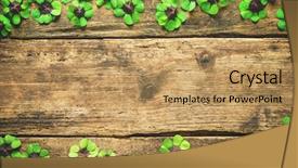  Presentation with clover - Beautiful PPT theme featuring celtic - clover leaves on the old backdrop and a coral colored foreground