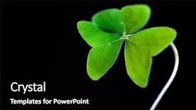  Presentation with black clover - Presentation design consisting of celtic design - fresh green clover against black background and a black colored foreground