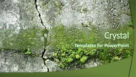  Presentation with moss - Cool new theme with cement sheets - old concrete wall with moss backdrop and a  colored foreground