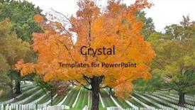  Presentation with united nations nuclear weapons - Amazing theme having cemetery in autumn foliage colors backdrop and a gold colored foreground