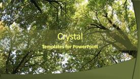  Presentation with cemetery - Amazing PPT theme having cemetery backdrop and a tawny brown colored foreground