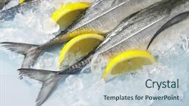  Presentation with ice - Beautiful slide set featuring cencaru fish on top backdrop and a lemonade colored foreground