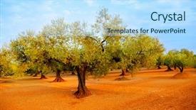  Presentation with soil red - Cool new PPT theme with centinnial - olive tree fields in red backdrop and a sky blue colored foreground