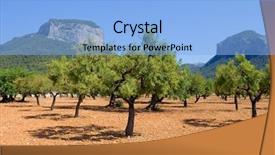  Presentation with olive trees - Presentation design with boat with the motor background and a gray colored foreground