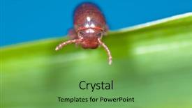  Presentation with blade - Presentation theme enhanced with  background and a  colored foreground