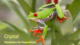  Presentation with central america - Theme featuring central america costa rica panama background and a tawny brown colored foreground