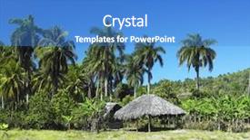  Presentation with cuba us - Slides featuring zebra lies on a deck-chair and drinks a martini background and a light gray colored foreground