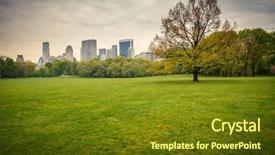  Presentation with rainy day - Slide deck with central park at rainy day background and a tawny brown colored foreground