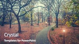  Presentation with rainy day - PPT theme featuring central park at rainy day background and a violet colored foreground