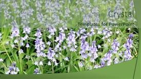  Presentation with part time job - Audience pleasing PPT theme consisting of cultural diversity - ideas creative design inspire fresh backdrop and a light gray colored foreground