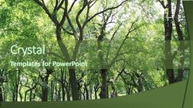  Presentation with part time job during studies - Presentation design with central park at spring time background and a tawny brown colored foreground