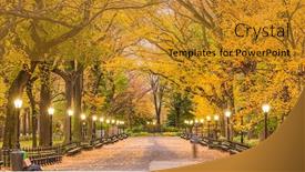  Presentation with new york city - Presentation theme consisting of central-park-at-the-mall background and a gold colored foreground