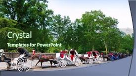  Presentation with horse and carriage isolated - Amazing theme having central park horse carriage rides backdrop and a tawny brown colored foreground