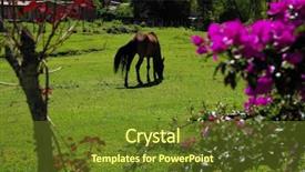  Presentation with central america - Amazing presentation theme having central salento colombia south america backdrop and a tawny brown colored foreground