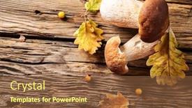  Presentation with crop - Presentation theme featuring ceps on wooden table autumn harvest crop background and a tawny brown colored foreground