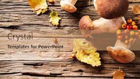  Presentation with crop - PPT theme featuring ceps on wooden table autumn harvest crop background and a coral colored foreground