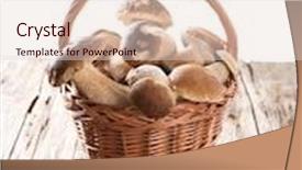  Presentation with harvest - Amazing theme having ceps on wooden table autumn harvest crop backdrop and a lemonade colored foreground