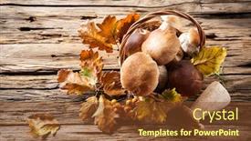  Presentation with crop - Amazing PPT theme having ceps on wooden table autumn harvest crop backdrop and a tawny brown colored foreground