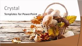  Presentation with crop - Beautiful presentation featuring ceps on wooden table autumn harvest crop backdrop and a white colored foreground