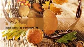  Presentation with crop - Presentation featuring ceps on wooden table autumn harvest crop background and a gold colored foreground
