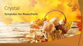  Presentation with crop - Amazing presentation theme having ceps on wooden table autumn harvest crop backdrop and a yellow colored foreground