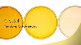  Presentation with syrup - Presentation design featuring ceramic isolated bowl petri dish background and a yellow colored foreground