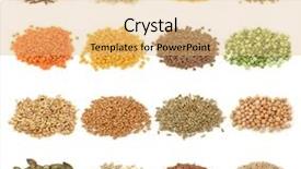  Presentation with rice grain - Beautiful theme featuring cereal grain and seeds collection backdrop and a coral colored foreground