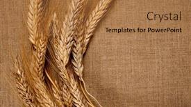  Presentation with linen - 