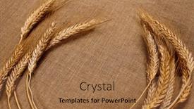  Presentation with linen - 