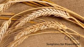  Presentation with linen - 