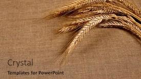  Presentation with linen - 